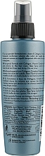 Hair Spray - Artistic Hair Volume Care Spray — photo N2