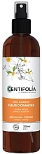 Fragrances, Perfumes, Cosmetics Orange Blossom Organic Floral Water - Centifolia Floral Water