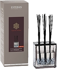 Fragrances, Perfumes, Cosmetics Esteban Legendes d'Orient Triptyque - Fragrance Diffuser