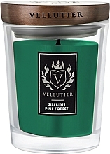Fragrances, Perfumes, Cosmetics Siberean Pine Forest Scented Candle - Vellutier Siberian Pine Forest