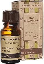 Fragrances, Perfumes, Cosmetics Essential Oil "Himalayan Cedar" - Botanika Essential Oil