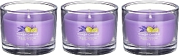 Scented Candle Set "Lemon & Lavender" - Yankee Candle Lemon Lavender (candle/3x37g) — photo N2