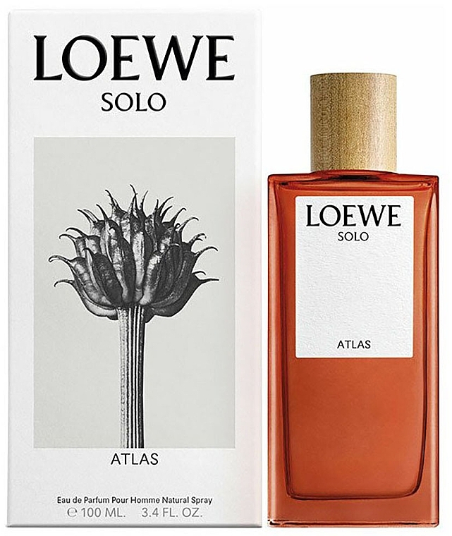 Loewe Solo Atlas - Eau de Parfum — photo N10