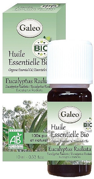 Organic Eucalyptus Radiata Essential Oil - Galeo Organic Essential Oil Eucalyptus Radiata — photo N4