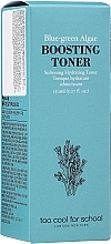 Refreshing Face Toner - Too Cool For School Blue-Green Algae Boosting Toner — photo N2