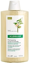 Volume Almond Shampoo for Fine Hair - Klorane Volumising Shampoo with Almond Milk — photo N2