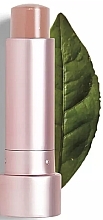 Lip Balm - Teaology Tea Balm Lip Berry Tea — photo N4