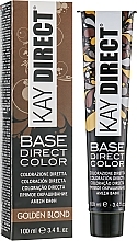 Semi-Permanent Direct Hair Color - KayPro Kay Direct  — photo N3