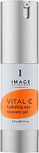 Fragrances, Perfumes, Cosmetics Intensive Moisturizing Eye Gel - Image Skincare Vital C Hydrating Eye Recovery Gel