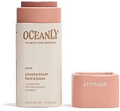Cream Blush - Attitude Oceanly Cream Blush Stick — photo N1