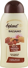 Almond & Shea Butter Conditioner - Splend'Or Hair Balm — photo N23