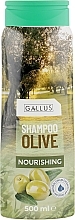 Olive Shampoo - Gallus Olive Shampoo — photo N9