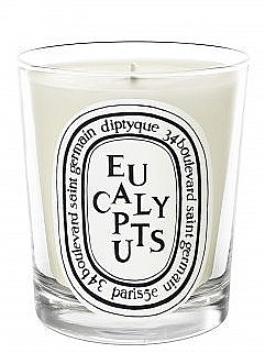 Scented Candle - Diptyque Eucalyptus Candle — photo N1