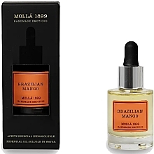 Essential Oil - Cereria Molla Brazilian Mango Essential Oil Soluble In Water — photo N1