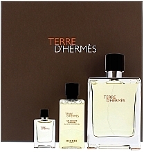 Hermes Terre DHermes - Set (edt/100ml + edt/5ml + sh/gel/40ml) — photo N3