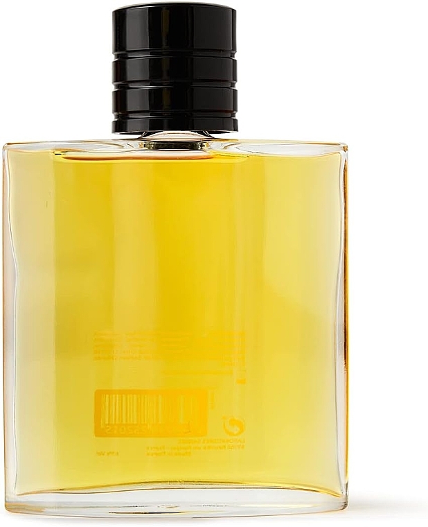 Corine de Farme Tabac Spirit Eau After Shave - Eau de Toilette — photo N3