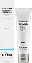 Antioxidant Moisturizing Sunscreen SPF33 - Jan Marini Antioxidant Daily Face Protectant Spf 33 — photo N6