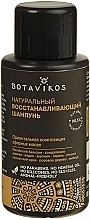 Fragrances, Perfumes, Cosmetics Natural Repairing Shampoo - Botavikos Natural Repairing Shampoo (mini size)