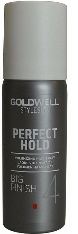 Strong Hold Volume Spray - Goldwell Style Sign Perfect Hold Big Finish Volumizing Hairspray — photo N6