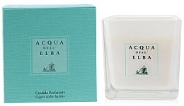 Scented Candle in Glass - Acqua Dell Elba Giglio Delle Sabbie Scented Candle — photo N2