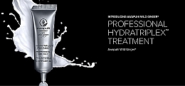 Concentrated Hydratriplex Hair Complex - Paul Mitchell Awapuhi Wild Ginger HydraTriplex Treatment — photo N5