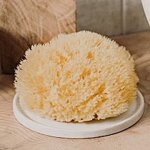 Natural Sea Sponge Honeycomb Sea Sponge', 6.35 cm - Hydrea London — photo N3