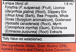 Propolis Plus Extract - Now Foods Propolis Plus Extract — photo N3