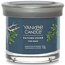 Scented Candle in Glass 'Bayside Cedar' - Yankee Candle Singnature — photo N2