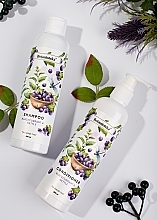 Black Currant & Nettle Shampoo for Weakened Hair - Botanioteka Shampoo For Weak Hair — photo N3