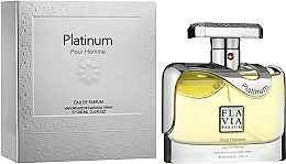 Fragrances, Perfumes, Cosmetics Flavia Platinum Pour Homme - Perfumed Spray
