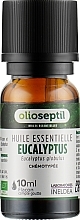 Eucalyptus Globulus Essential Oil - Olioseptil Eucalyptus Globulus Essential Oil — photo N1