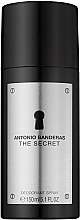 Antonio Banderas The Secret - Deodorant — photo N2