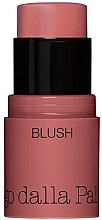 Blush Stick - Diego Dalla Palma All In One Blush Multi-Tasking Cream Stick — photo N2