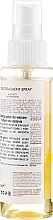 Hair Spray "Mirror Gloss" - Ikoo Infusions Duo Treatment Spray Anti Frizz — photo N6