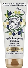 Fragrances, Perfumes, Cosmetics Dry Hair Conditioner - Jeanne en Provence Divine Olive Nourishing Conditioner