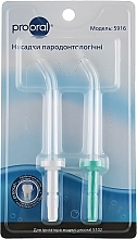 Periodontal Heads for Professional Irrigator - Prooral — photo N8