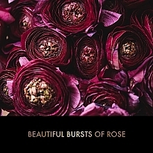 Baylis & Harding Boudoire Rose Luxury Instant Glam Set (b/spr/95ml + l/gloss/12ml) - Baylis & Harding Boudoire Rose Luxury Instant Glam Set — photo N8