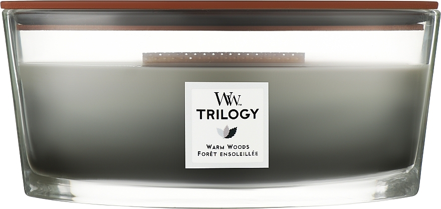 Scented Candle in Glass - Woodwick Hearthwick Flame Ellipse Trilogy Candle Warm Woods — photo N5