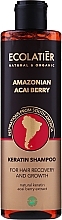 Fragrances, Perfumes, Cosmetics Keratin Hair Shampoo "Amazonian Acai Berry" - Ecolatier Amazonian Acai Berry Shampoo