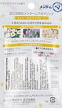 Lip Balm "Chamomile & Sage" - Omi Brotherhood Aroma Lip — photo N30