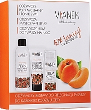 Fragrances, Perfumes, Cosmetics Face Care Set - Vianek (miccelar/water/200ml + f/cr/50ml + f/mask/75ml)