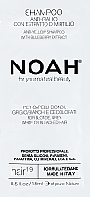 GIFT! Anti-Yellow Shampoo with Blueberry Extract - Noah Anti-Yellow Shampoo (sample) — photo N1