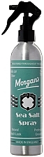 Salt Hair Styling Spray - Morgan's Sea Salt Spray — photo N2