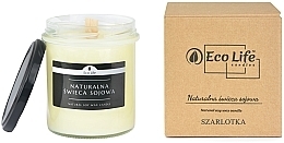 Fragrances, Perfumes, Cosmetics Scented Soy Candle 'Charlotte' - Eco Life Candles