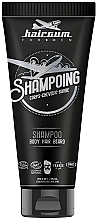 Hair, Beard & Body Shampoo - Hairgum For Men Hair, Beard & Body Shampoo — photo N1