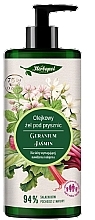 Geranium & Jasmine Shower Gel - Herbapol Polana — photo N1