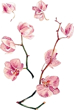 Orchid Flash Tattoo - Arley Sign — photo N8