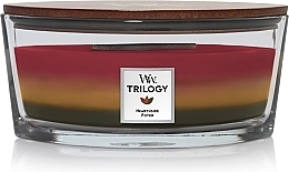 Fragrances, Perfumes, Cosmetics Scented Candle in Glass - WoodWick Hearthside Trilogy Ellipse Candle