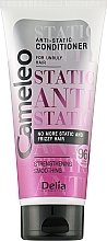 Antistatic Conditioner for Unruly Hair - Delia Cameleo Anti-Static Conditioner — photo N1