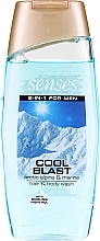 Fragrances, Perfumes, Cosmetics Shampoo-Shower Gel for Men - Avon Senses For Men Cool Blast Hair & Body Wash